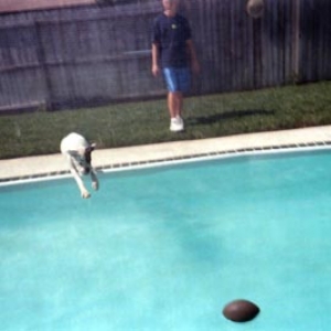 Domino jumping for the ball