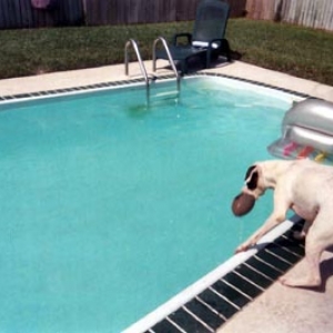 Almost dropped it in the pool!