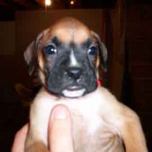 alien baby at 4 weeks