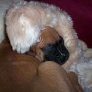 just cuddling