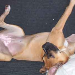 stretching