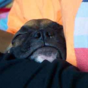cute face