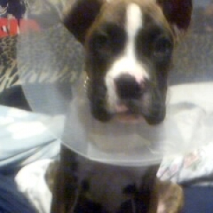 Mom, I look goofy