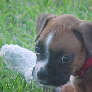 Mom's Little Sassy Girl