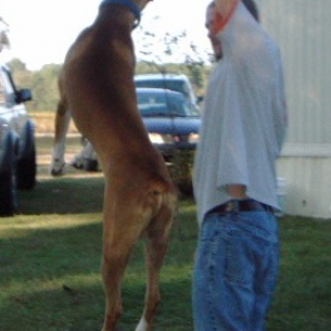 QUIT RAISING IT UP DADDY!!!!