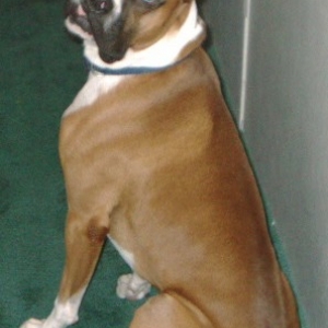 Take a number, I was next!