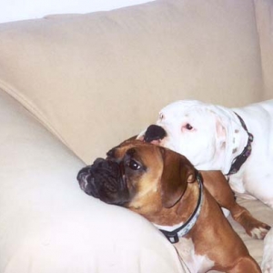 snuggle