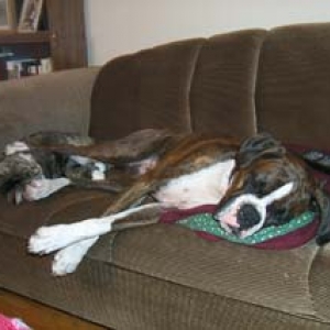 Good foot rest!
