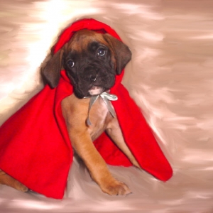 Lacy  Red Riding Hood