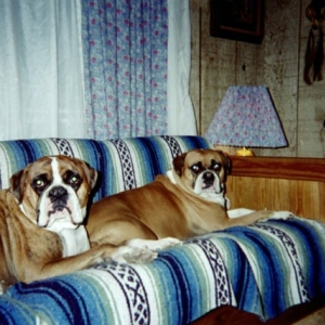 Couch Potatoes