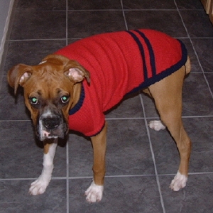 New Sweater