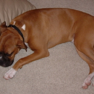 Absolutely exhausted