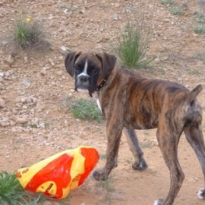 Moooom.., somebody broke my ball!!!