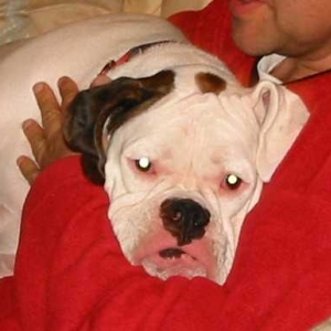 Ellie loves to snuggle!