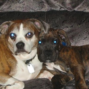 Pals!