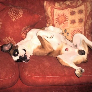 lazy days