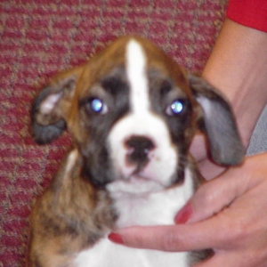 Sasha 11/21/03