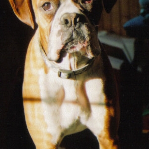 Jax