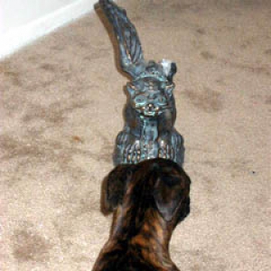 gargoyle