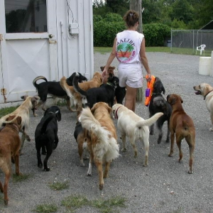 Daycare