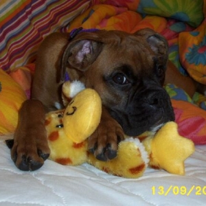 This is my ducky...and no you can't have it