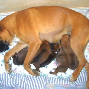 what a good mommy