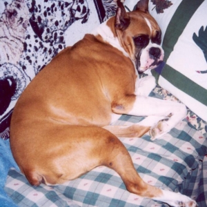 joker sleeping on HIS couch