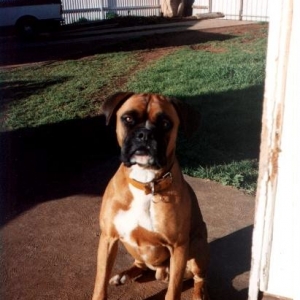 Taison when he was younger