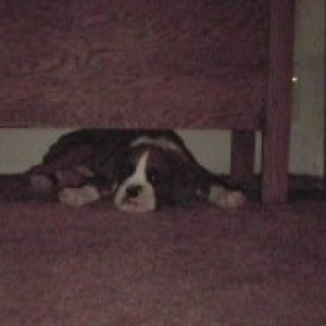 Heater Hog!