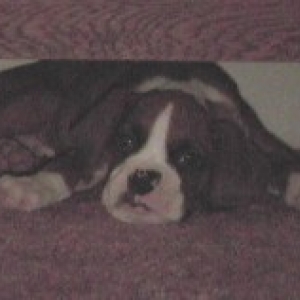 Lazy baby