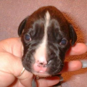 My New little girl...