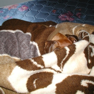 Camouflage