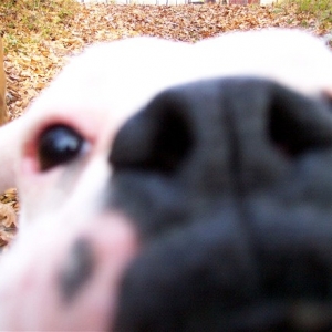Am I too close to the camera?