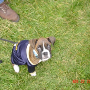 Go Blue!