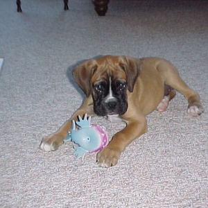 Can't you see I am playing?