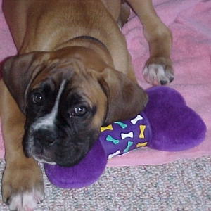 Is this cute enough?