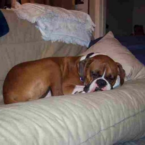 Really Sleepy