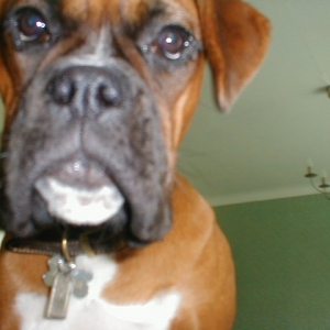 rizzo2