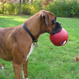 Finley holding his ball
