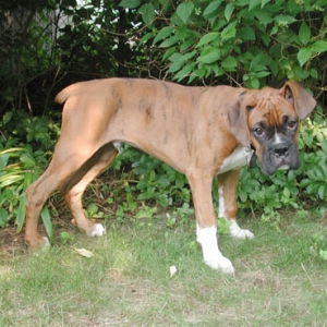 Finley_2