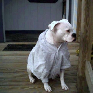 Powder's Birthday
