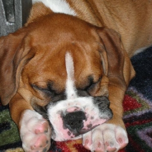 A long day at the office...