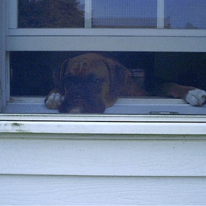 Where'd everyone go?