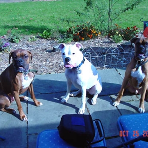 Three amigos (well two amigos and one amigA)