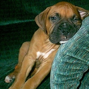 Im so tired!!