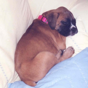 all_curled_up