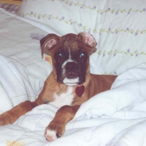 big bed, little sade