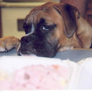 Hey, I want some too!