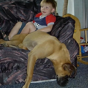 lounge chair comfort