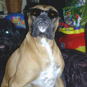 Dryfus is a cool dude!